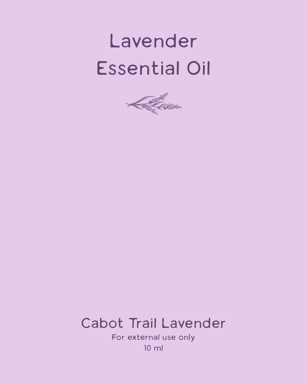 Lavender Essential Oil