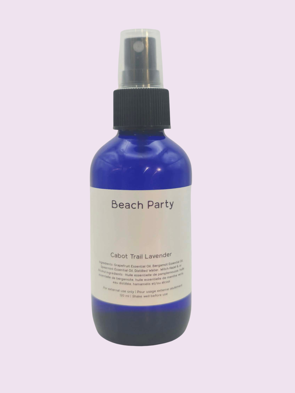 Beach Party