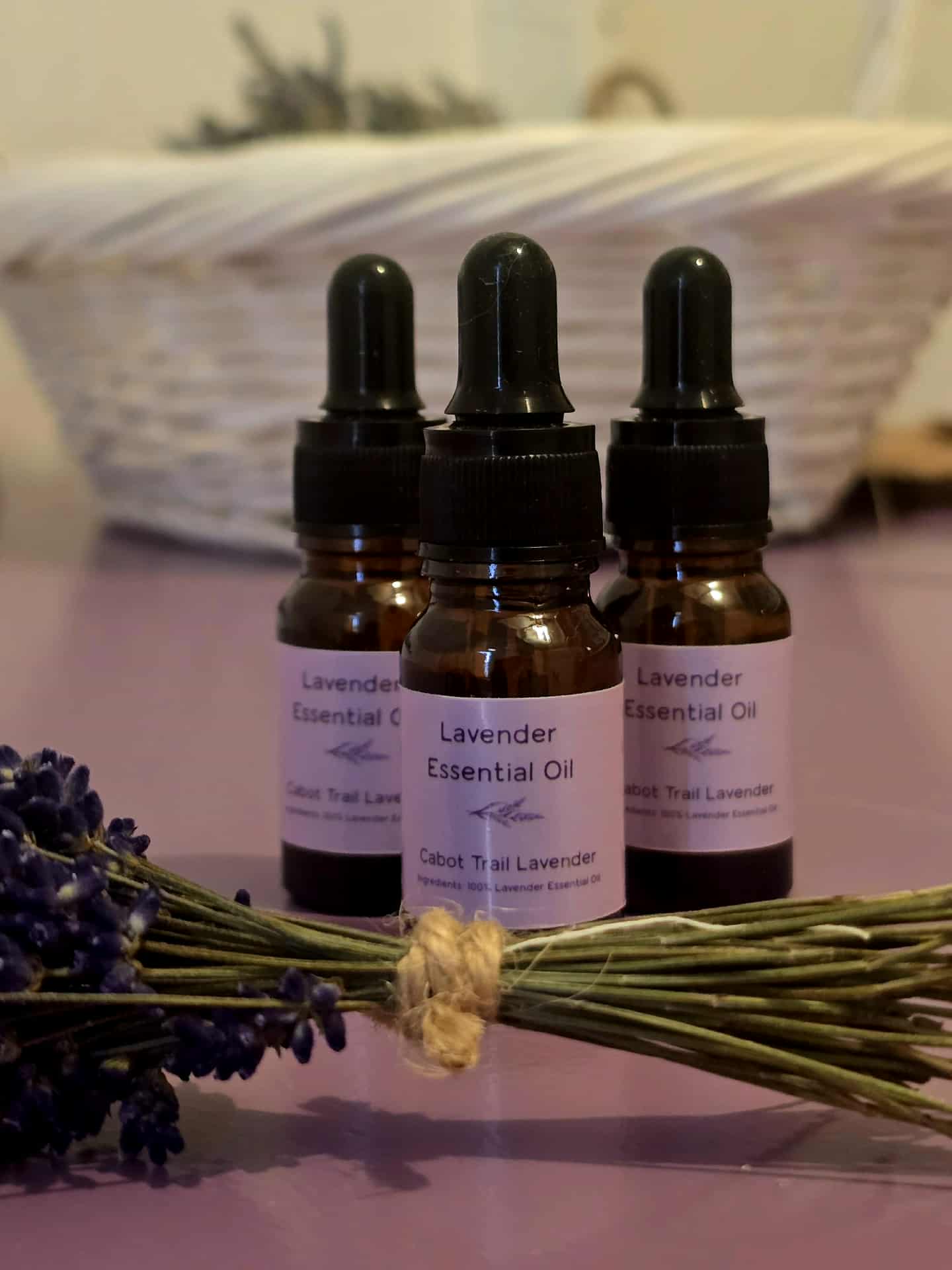 Lavender Essential Oil (10ml)
